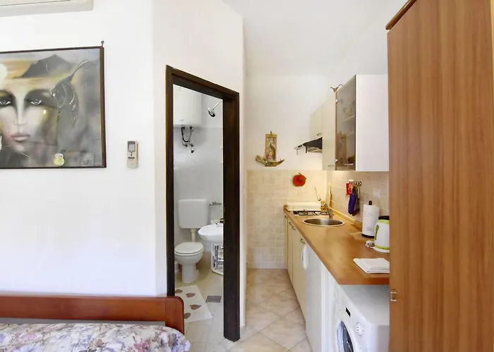 Vesna Peovic By Interhome Zambratija (Istria)